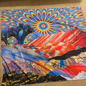 Wall Hanging tapestry